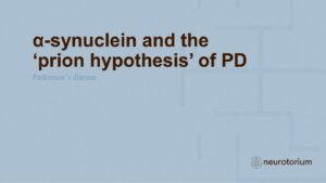 α-synuclein and the ‘prion hypothesis’ of PD